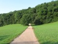 IMG_2918.JPG