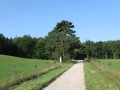 IMG_2920.JPG