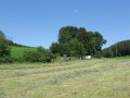 IMG_2937.JPG