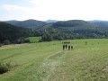 IMG_2951.JPG