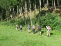 IMG_2983.JPG