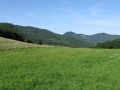 IMG_2993.JPG