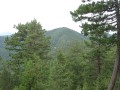 IMG_3003.JPG