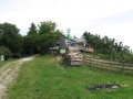 IMG_3018.JPG