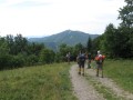 IMG_3019.JPG