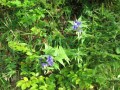 IMG_3032.JPG