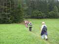 IMG_3045.JPG