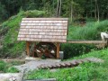 IMG_3051.JPG