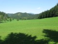 IMG_3071.JPG