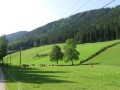 IMG_3079.JPG