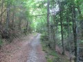 IMG_3083.JPG