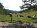 IMG_3085.JPG