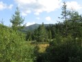 IMG_3089.JPG
