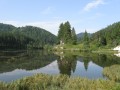 IMG_3104.JPG