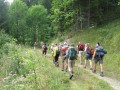 IMG_3117.JPG